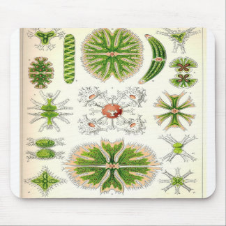 Desmid Mousepad Muismat