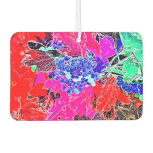 DÉSODORISANT POUR VOITURE 