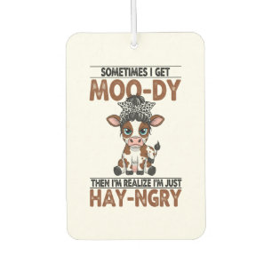 DÉSODORISANT POUR VOITURE 