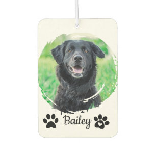 DÉSODORISANT POUR VOITURE 