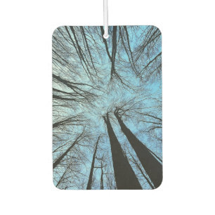 DÉSODORISANT POUR VOITURE 