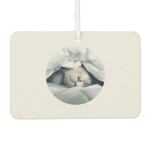 Désodorisant Pour Voiture Accueil où mon chat fait des siestes photo personn