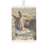 Désodorisant Pour Voiture Adorable âne (Dos)