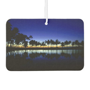 Désodorisant Pour Voiture Air Freshener Island Breeze Car Air Freshener