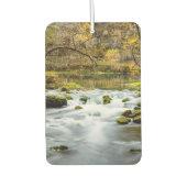 Désodorisant Pour Voiture Alley Springs Rapids (Devant)