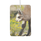 Désodorisant Pour Voiture Alpaca Air Freshener Rossi (Devant)