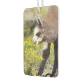 Désodorisant Pour Voiture Alpaca Air Freshener Rossi (Gauche)