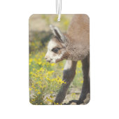 Désodorisant Pour Voiture Alpaca Air Freshener Rossi (Dos)
