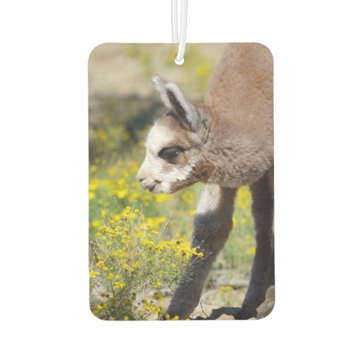 Désodorisant Pour Voiture Alpaca Air Freshener Rossi (Dos)
