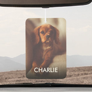 Désodorisant Pour Voiture Animaux De Compagnie Personnalisés Photo Et Nom