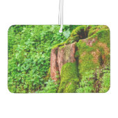 Désodorisant Pour Voiture Arbre (Dos)