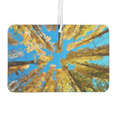Désodorisant Pour Voiture Arbres (Dos)