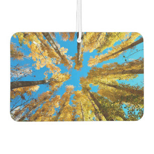 Désodorisant Pour Voiture Arbres