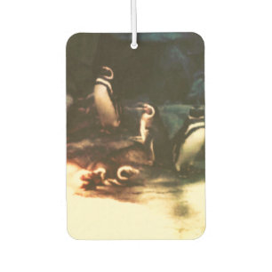 Désodorisant Pour Voiture Art de la photographie des pingouins nature
