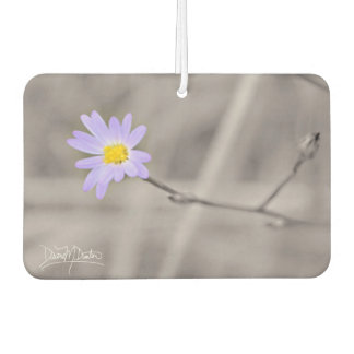 Désodorisant Pour Voiture Aster pourpre en couleur sélective