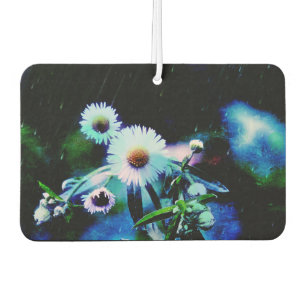 Désodorisant Pour Voiture Asters Aglow