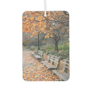 Désodorisant Pour Voiture Autumn Leaves Riverside Park New York City NYC