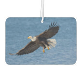 Désodorisant Pour Voiture Bald eagle in flight (Dos)