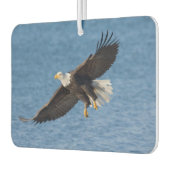 Désodorisant Pour Voiture Bald eagle in flight (Gauche)