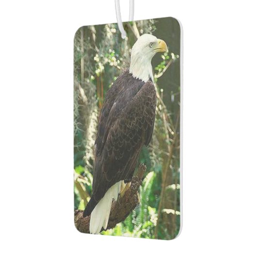Désodorisant Pour Voiture Bald Eagle Portrait Rectangle Air Freshener (Gauche)
