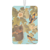 Désodorisant Pour Voiture Baltimore Oriole Audubon Bird Family avec nid (Dos)