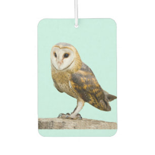 Désodorisant Pour Voiture Barn Owl