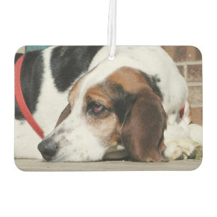 Désodorisant Pour Voiture Basset Hound