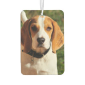 Désodorisant Pour Voiture Beagle Car Air Freshener (Dos)