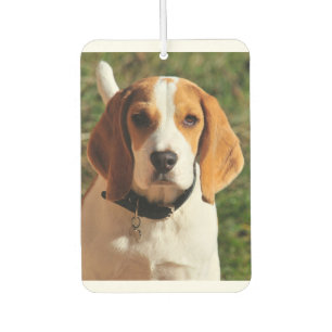 Désodorisant Pour Voiture Beagle Car Air Freshener