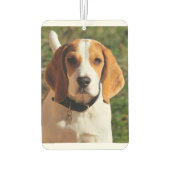 Désodorisant Pour Voiture Beagle Car Air Freshener (Dos)