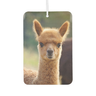 Désodorisant Pour Voiture Beau bébé Alpaca Air Freshener