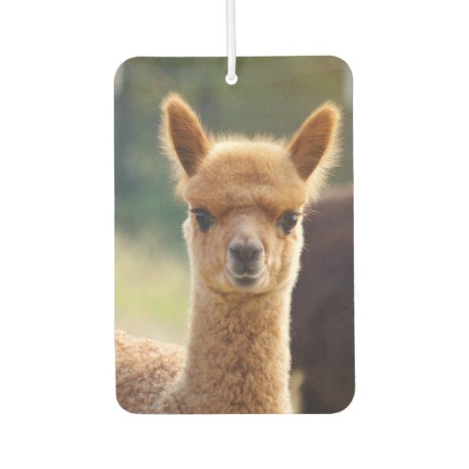 Désodorisant Pour Voiture Beau bébé Alpaca Air Freshener (Devant)
