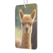 Désodorisant Pour Voiture Beau bébé Alpaca Air Freshener (Gauche)