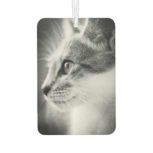 Désodorisant Pour Voiture Beau Kitten Air Freshener