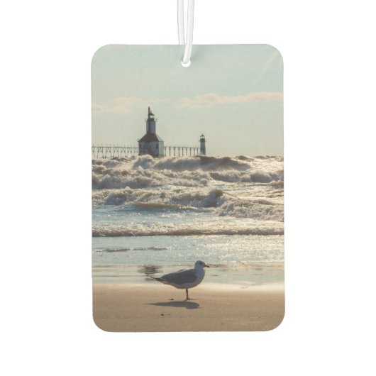 Désodorisant Pour Voiture Beauté Et Force (Dos)