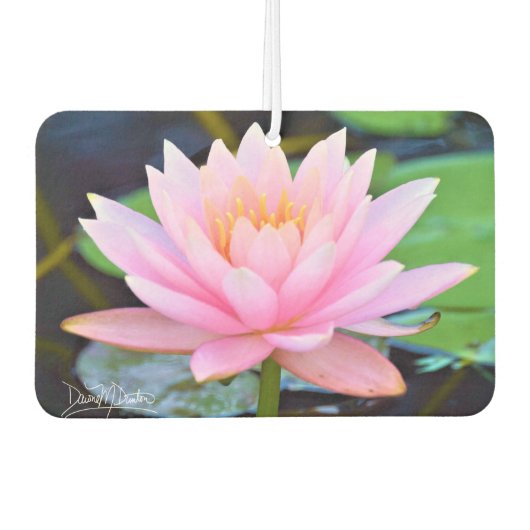 Désodorisant Pour Voiture Beauté rose parfaite (Devant)