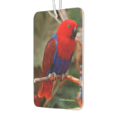 Désodorisant Pour Voiture Belle "Dame en rouge" Eclectus Parrot (Gauche)