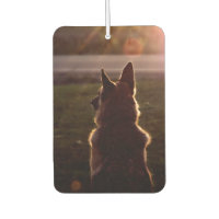 Belle voiture berger allemande Air Freshener