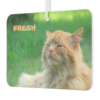 Désodorisant Pour Voiture Big Orange Chat dit "frais"