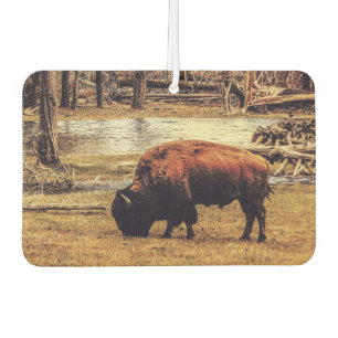 Désodorisant Pour Voiture Bison