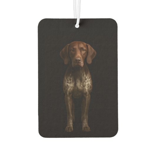 Désodorisant Pour Voiture Black 4 Luxe Car Air Fresheners, German Pointer (Dos)