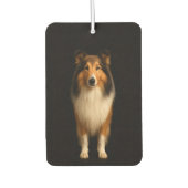 Désodorisant Pour Voiture Black 4 Luxe Car Air Fresheners, Loyal Collie Dog (Devant)