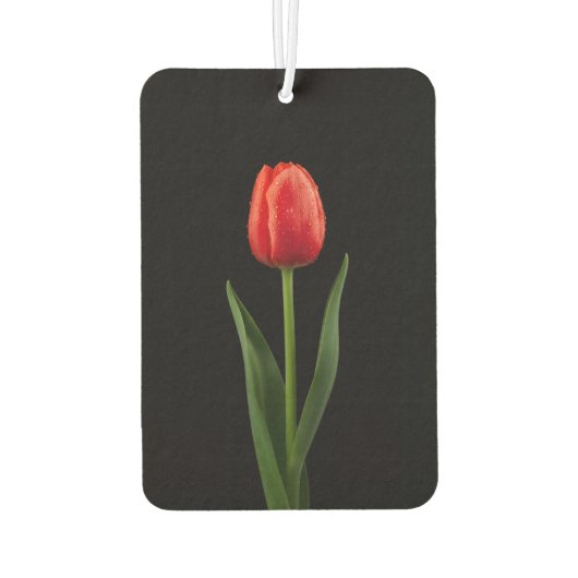 Désodorisant Pour Voiture Black 4 Luxe Car Air Fresheners Ruby Red Tulip (Dos)