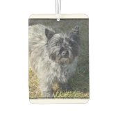 Désodorisant Pour Voiture Black Cairn Terrier (Dos)