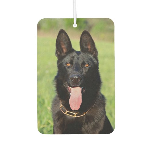 Désodorisant Pour Voiture Black German Shepherd Dog (Devant)