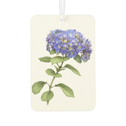 Désodorisant Pour Voiture Blue Hydrangea Flower Botanical Art Design (Dos)