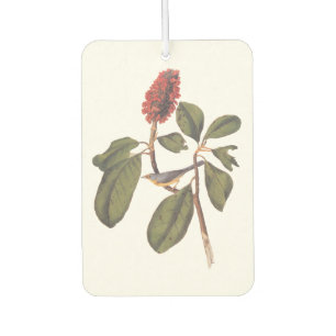 Désodorisant Pour Voiture Bonaparte Moucherolle Canada Paruline Audubon Oise