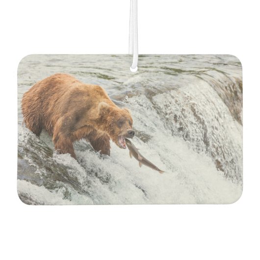 Désodorisant Pour Voiture Brown Bear Catches Red Salmon (Devant)