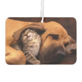 Désodorisant Pour Voiture Buddies Air Freshener (Dos)