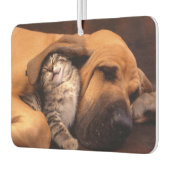 Désodorisant Pour Voiture Buddies Air Freshener (Gauche)